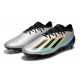 Adidas X Speedportal .1 2022 World Cup Boots FG Low-top Sliver Black Soccer Cleats 